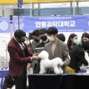 그루밍독 연구소 이미지