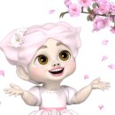영덕밥식해 이미지