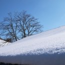 삼청목장 이미지