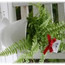 3900원의 행복 이미지