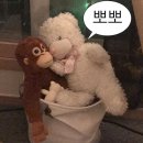 GB.GYM(지비짐) | [대전] 신성동 지비짐 헬스장에 다니고있솜