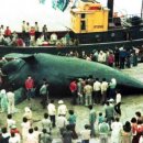 (주)애사랑 이미지