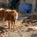 거북민박 이미지