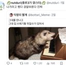 가랭이 화장실 이미지