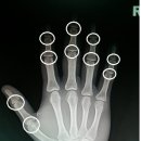 성모메디트레이닝센터 이미지