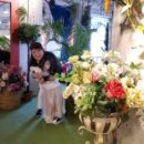 감천할머니 이미지