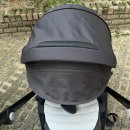 빠방이네 | 우리아가 첫 빠방이 잉글레시나 일렉타 후기