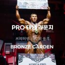 브론즈가든