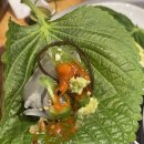 강남회초장 이미지