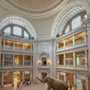 미국 워싱턴 D.C. 국립 자연사박물관(National Museum of Natural History) 이미지