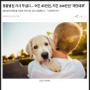 동편동물혈액검진센터 이미지