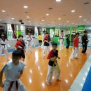 용인대 현대 태권도 이미지