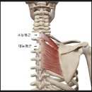 크라우드짐 이미지