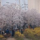 충훈2교 이미지