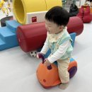 율하 나무늘보 키즈룸 대관 후기 (12개월~24개월아기)