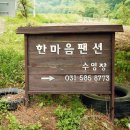 한마음펜션 - 논산시 득안대로 442-5 | 한마음펜션