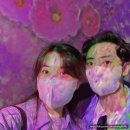 에이케이랩스 | 요즘 같은 날씨에 딱인 서울 전시회 <플라워 바이 네이키드 홍대> 추천 , 주말에 다녀온 후기