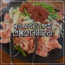 이*양 | 용인 오리고기 맛집 선봉산더미오리 | 18,000원에 이 양 실화? 오리주물럭 후기