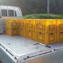 참이슬 농원 이미지