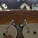 DDUNG SHOP(뚱샵) | 보홀여행 3일차 - 돌조비치 체험 스킨스쿠버다이빙/현지식 맛집 갈릭 앤 레몬 비스트로/할로망고...