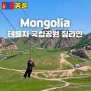 공원 | 몽골 테를지 국립공원 짚라인 체험 후기 비용