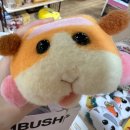 핏토짐 | ♡11/12~11/15♡