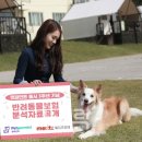 토이 카카오 검색결과