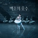 제35회 한국장애인소리예술단 정기연주회 | <기획공연> <발레> 국립발레단 백조의 호수 - 강릉아트센터 사임당홀