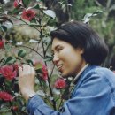 마음을 쓰다, 힐링 캘리 이미지