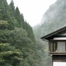 화산육회 티스토리