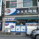 금오도 마차