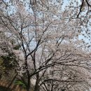 달창저수지 이미지