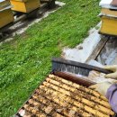 일화농장 이미지