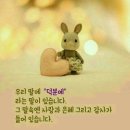 이* Daum카페