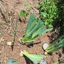 행주농장 이미지