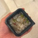 빼꼬빼꼬 | 울산 중구 : 퀄리티 최고 배달 횟집 [ 빼꼬빼꼬 ] 먹어본 후기