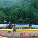 동서울 승마장 Daum카페
