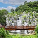 봄꽃힐링투어 이미지