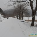 임신마을 Daum카페