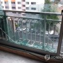 대산나무병원 이미지