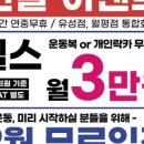 머슬핏 다이어트 댄스 이미지