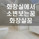 화장실꿈 화장실고치는꿈 화장실찾는꿈 변기막히는꿈 이미지