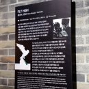 해리하다 이미지
