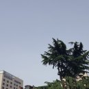 대구화교초등학교 이미지