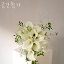공간향기