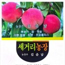 초리농장 네이버블로그