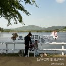 지수농원 | 경산 포니힐링농원 아이와 가기 좋은 체험형 힐링공유팜 후기