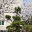 태솔농장 이미지