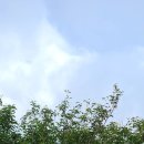 안성리-8 이미지