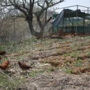 해마루농장 이미지